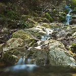 بيت للعطل αρχοντικό Forrest