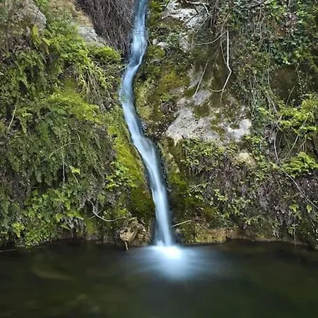 Ferienhaus αρχοντικό Forrest Moláoi