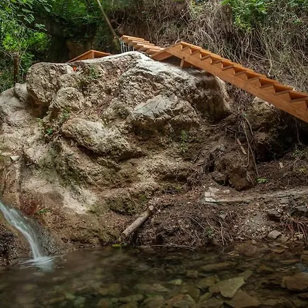 Vakantiehuis αρχοντικό Forrest