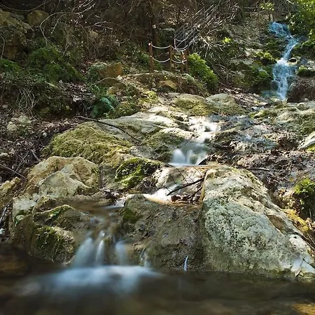 Vakantiehuis αρχοντικό Forrest