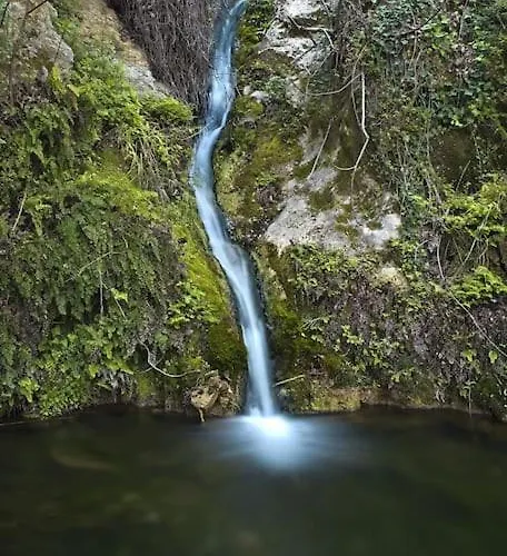 Semesterbostad αρχοντικό Forrest Moláoi