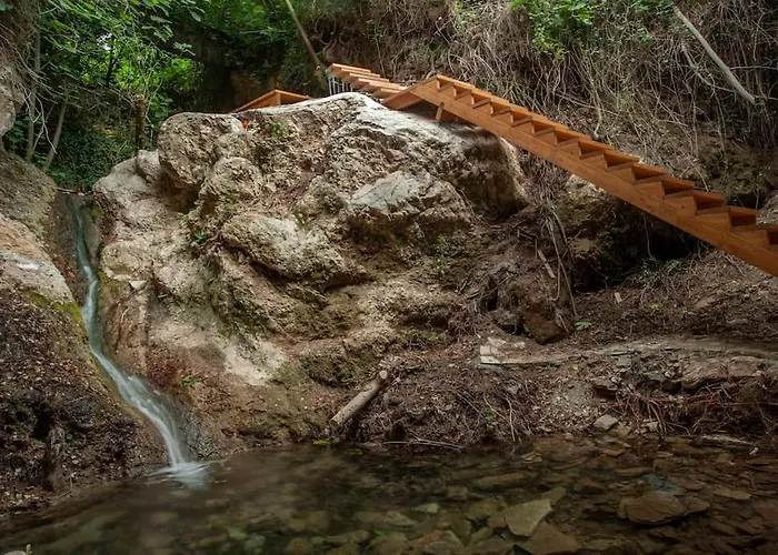 펜션 αρχοντικό Forrest