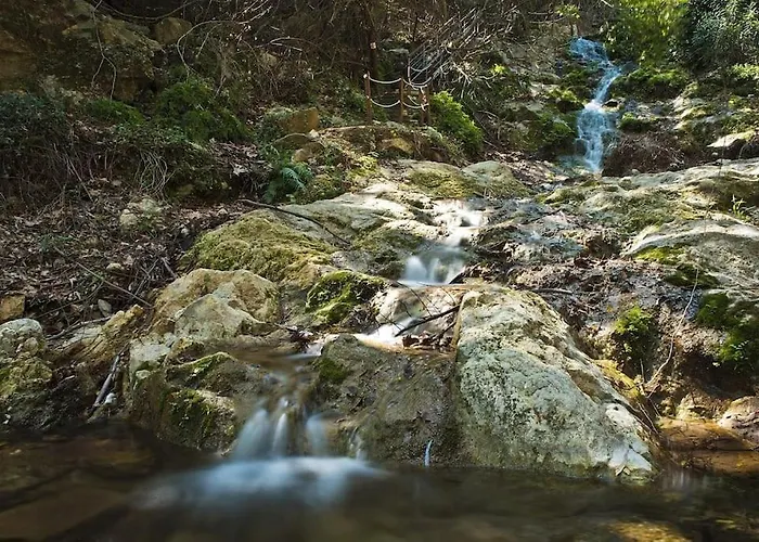 Semesterbostad αρχοντικό Forrest